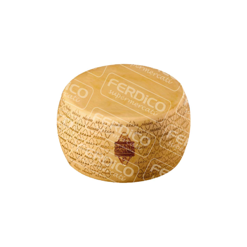 FORM. GRANA PADANO SISA DOP 12 MESI.