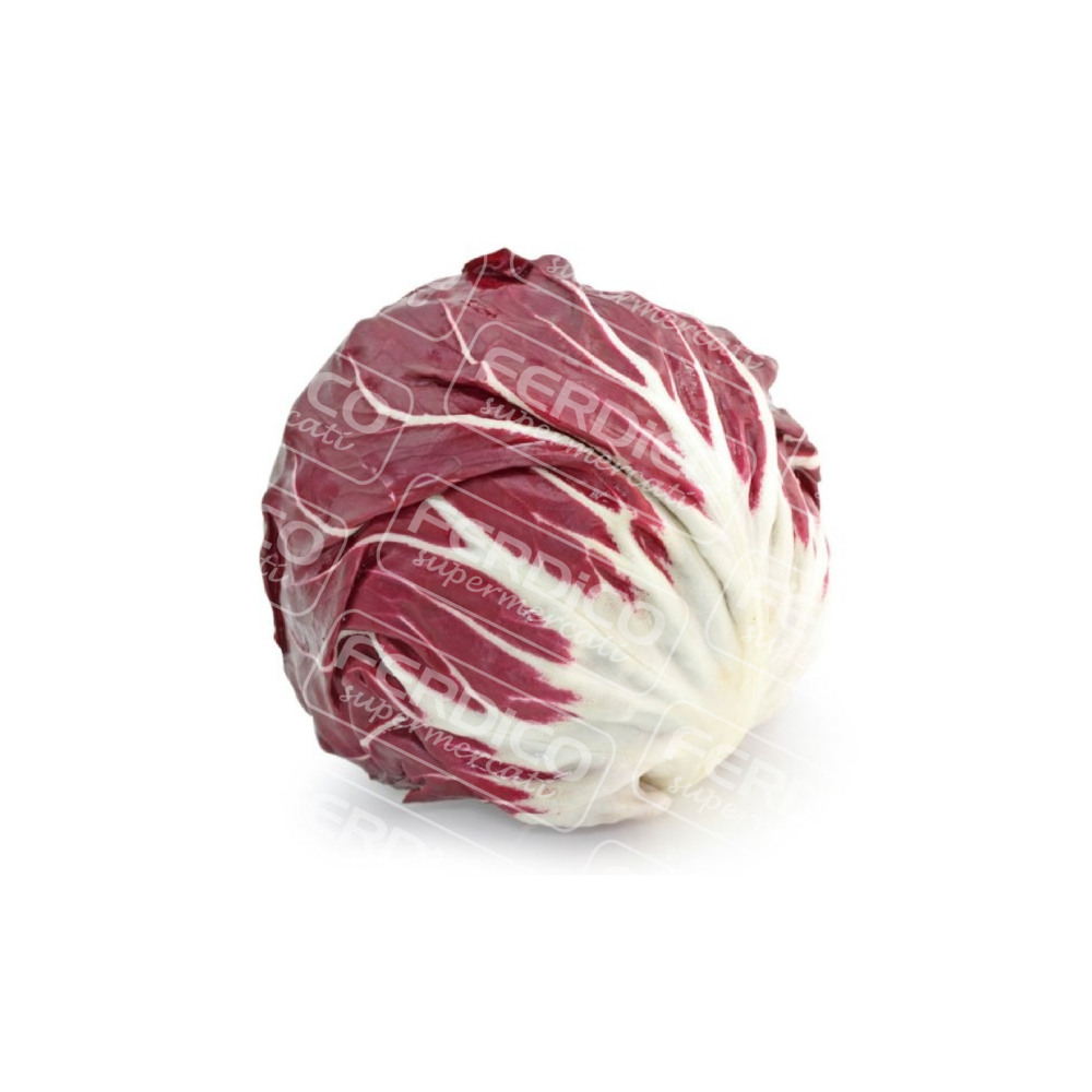 RADICCHIO CHIOGGIA IT CAT.I LT 162