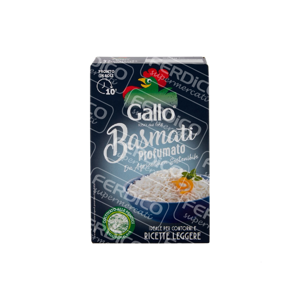 GALLO RISO BASMATI GR.500