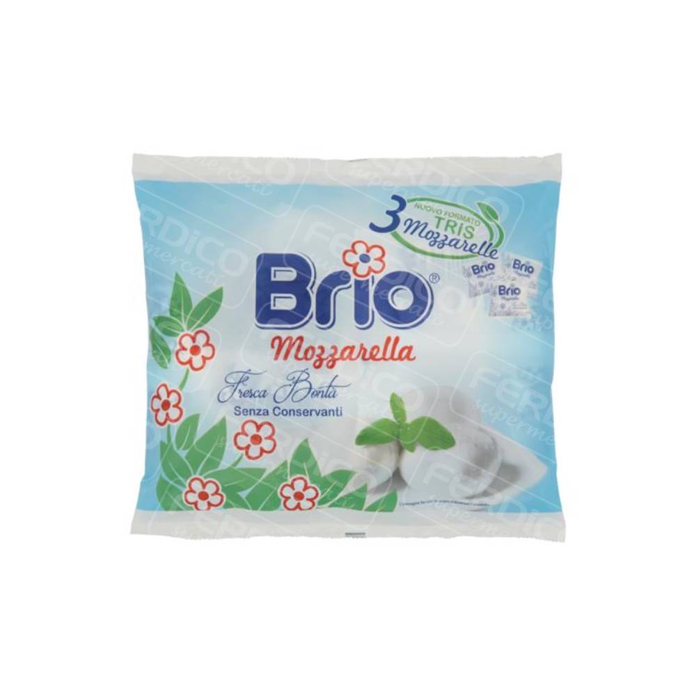 BRIO MOZZARELLA GR90X3