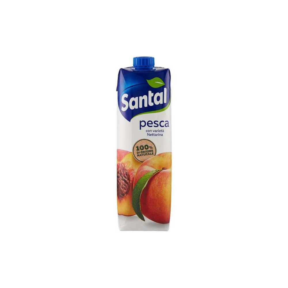 SANTAL SUCCO BRICK PESCA LT1