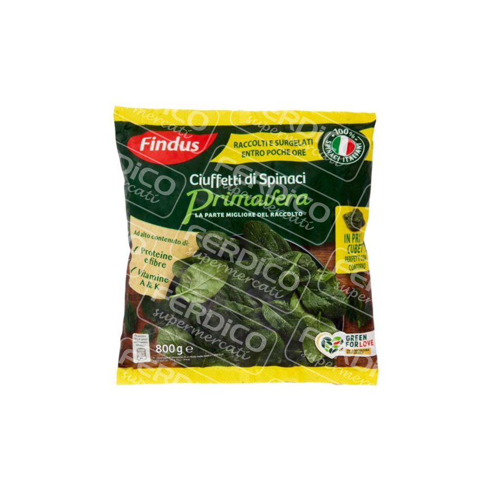 FINDUS SPINACI PRIMAVERA GR800